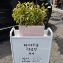 쌍포크호떡 | [강릉가볼만한곳] 초당쌍포크 강릉초당동카페 호떡맛집