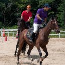 인천승마공원 이미지