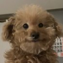 (주)투어플라이 이미지