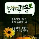 초이부동산공인중개사사무소 이미지