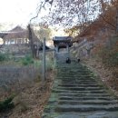 산내과수 | 해인사 ⑧