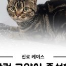 루아동물병원 이미지