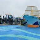 스타피시존 이미지