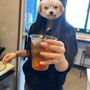망 미 정 | ♡4월호♥