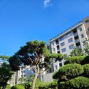서울가든(구 서동가든) | [강북구 북한산] 안토 리조트 가든하우스 - 히노키 객실 리뷰 (구 파라스파라 서울)