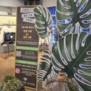 들밥 | 남양주맛집 - 미음나루 황금들밥 내돈내산 후기!