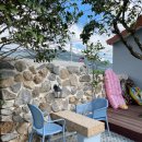 콜라니티다 이미지