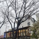 방콕식당 | 공덕역 청모하기 좋은 식당 리틀방콕 내돈내산 후기, 웨이팅, 예약방법