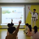 용인대 국가대표 부부태권도 이미지