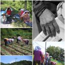 화지9리 이미지