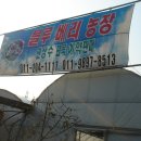 샘골목장 Daum카페