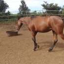 율도목장 이미지