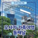 CoCo멍(코코멍) | 오사카 가족여행 둘째날 | 오사카 주유패스 1일권 여행 코스 정리