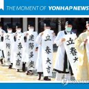 봄의 전령 매화, 입춘대길, 끓는 기름’에 호떡 던진 손님의 최후 外 - 오늘의 포토소식 이미지