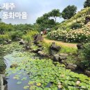 제주도여행 동쪽 송당동화마을 꽃정원 포토존 놀거리 많은곳 무료
