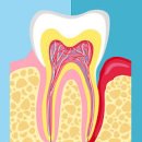 잇몸 부었을때 잇몸염증 치은염 치주염 치수염 원인 이미지