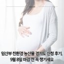 해남군보건소 | 임산부 친환경 농산물 경기도 신청 후기, 9월 8일 마감 전 꼭 챙기세요