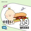 [임신일기 :: 임신 8주~20주] 임신 초기, 중기, 먹덧, 입덧, 젠더리빌, 니프티, 산후조리원, 태아보험...