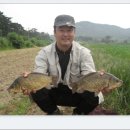 도-모2012