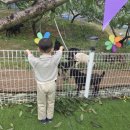 장령산 가든 | [옥천 여행] 내안의복숭아농원(무화과) → 장령산 숲속동굴 → 옥천전통문화체험관 → 붴(Bake) 베이커리