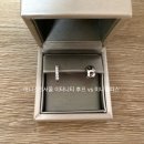 화이트벨리 | 미꼬 미니 람파스 구매후기 (ft. 내 링 귀걸이들, 골든듀 벨리와 비교, 구매가격)