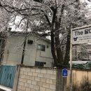 The 달다
