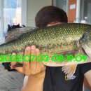 신원대로-7 이미지