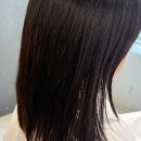 강남종합동물병원 미용실 | 인생 머리 찾았다! 믿고 맡기는 강남역미용실 후기요