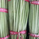 믿음농장 이미지