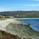 피스테라 이미지