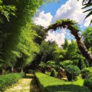 휘닉스파크관광단지 이미지