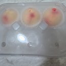 고래포차 - 군산시 부원로 22 | 고래 포차, 안주가 맛있는 술집 추천‼️동네 단골이 많은 노포 맛집, 고래 포차 방문 후기💁‍♀️<내 돈 내산>