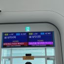 미야코섬에 오신 것을 환영합니디🐠 (4.26. ~ 4.30.)