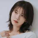 위닛 이미지