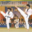 경희대 호돌이 태권도장 이미지