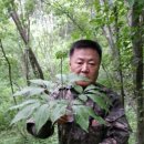 서본 이미지