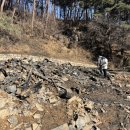 영주금양정사 이미지