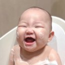 버블샤인 | [5분 목욕혁명] 케일라 가든 오가닉 버블폼 베이비 바디워시 솔직후기