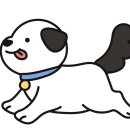 이서동물병원 이미지