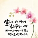 샬롬 이미지