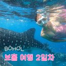 보홀 여행 2일차 일정 : 고래상어, 발리카삭 호핑투어, 토토에페피노 메뉴 가격 후기