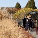 어진동_정부청사관리본부 이미지