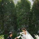 고오 이미지