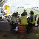 고아산방 이미지