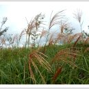 장산농장 이미지