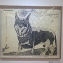 배리어프리전시-널사랑해 이미지