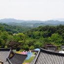 비암사 | 세종 비암사 부처님오신날 절밥 후기 — 영평사 대신 찾은 천년고찰