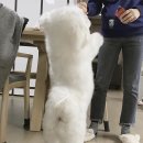 강민희 카카오 검색결과