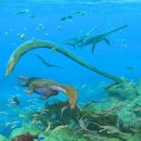 시오돈 | 한반도 주변 고생물 살펴보기 - 트라이아스기