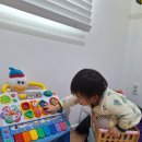 도르멍스테이 이미지